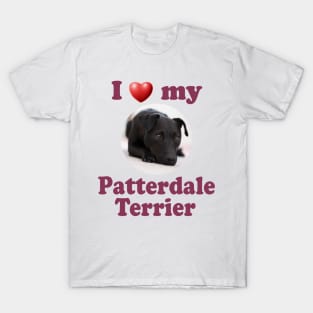 I Love My Patterdale Terrier T-Shirt